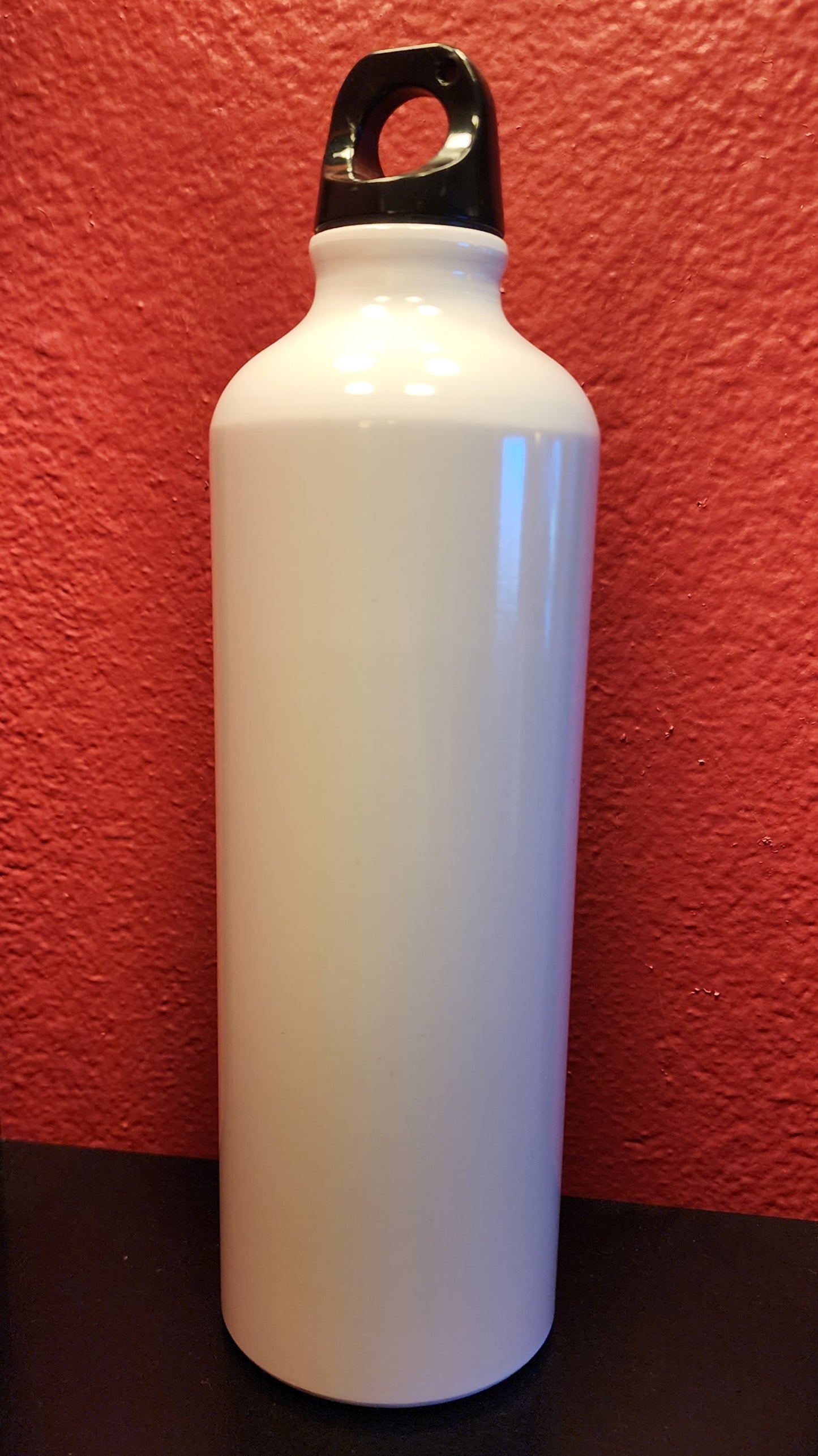 Ibuki Super Street Fighter IV Stainless Steel Water Bottle