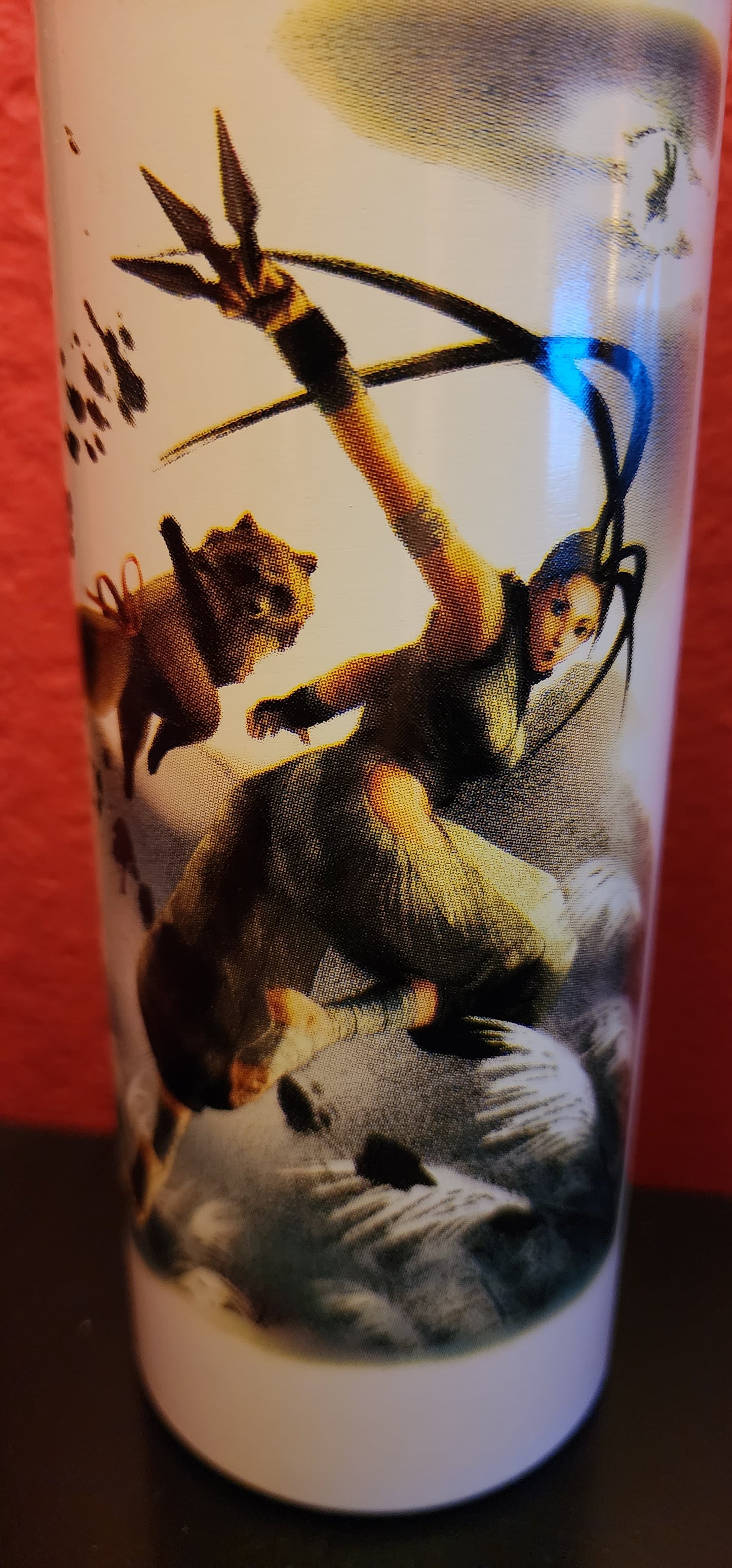 Ibuki Super Street Fighter IV Stainless Steel Water Bottle