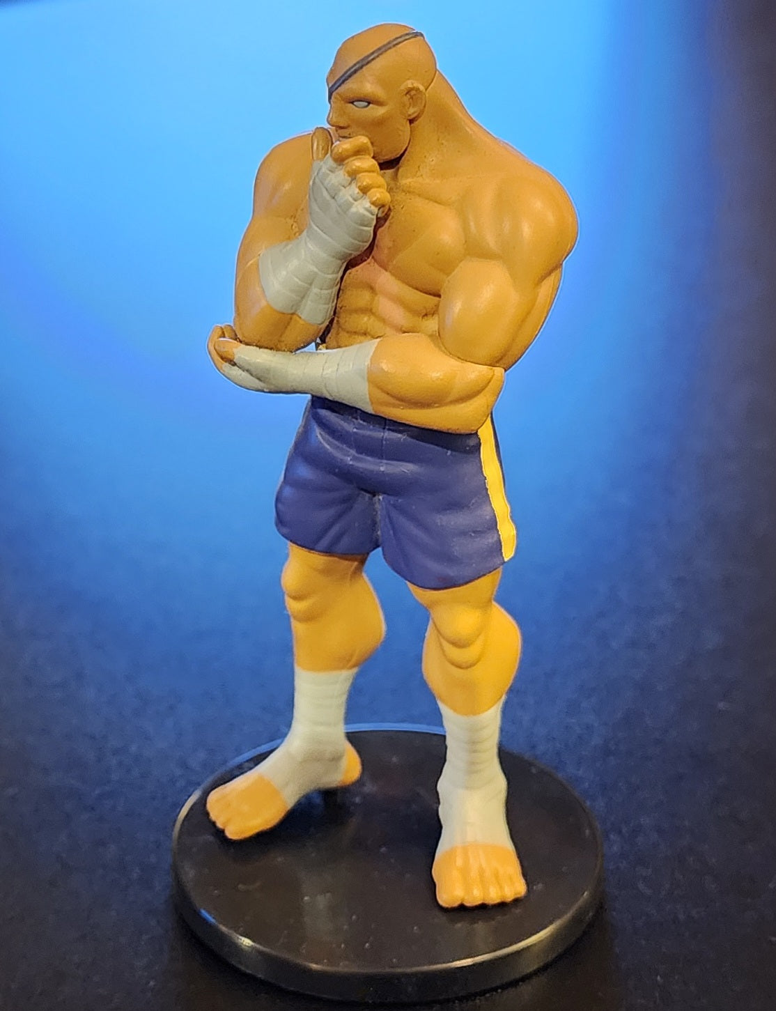 Sagat 15th Anniversary Street Fighter Alpha 3 Figure