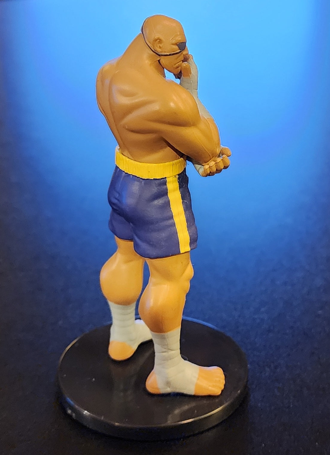 Sagat 15th Anniversary Street Fighter Alpha 3 Figure