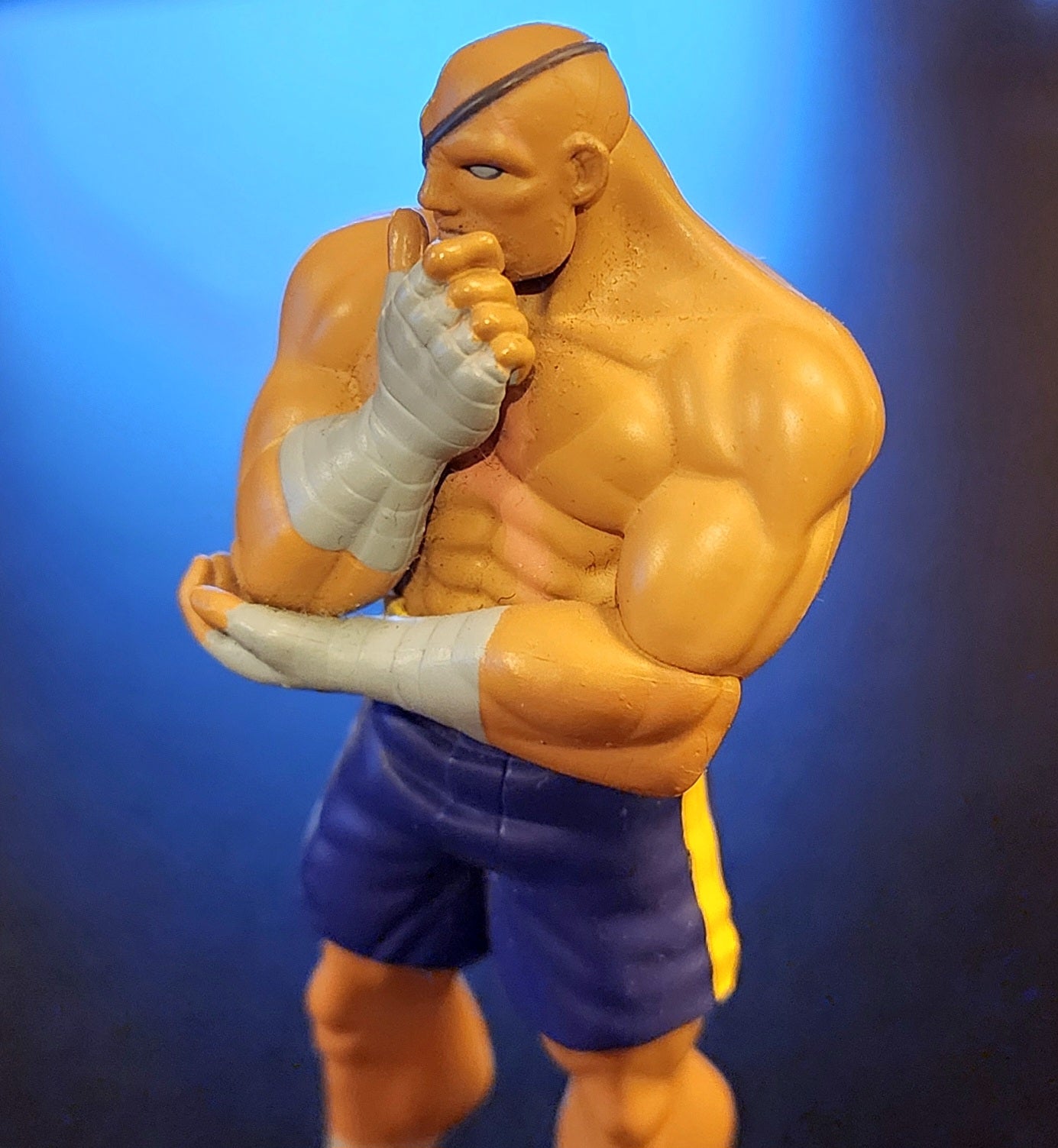 Sagat 15th Anniversary Street Fighter Alpha 3 Figure