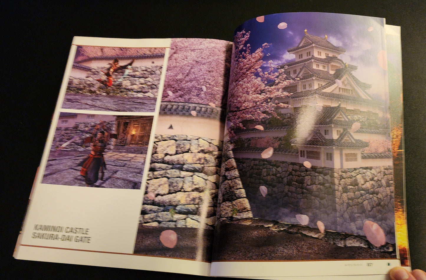 The Art of Soul Calibur II Art Book