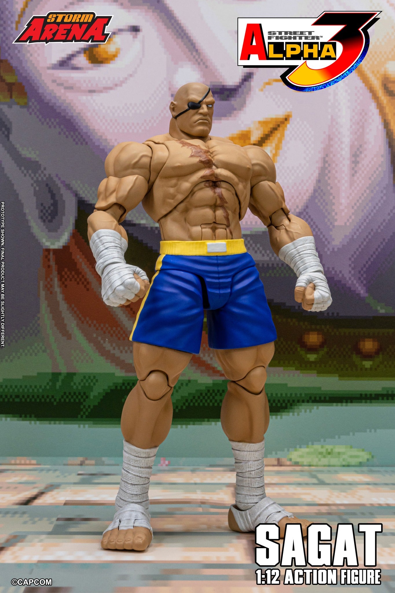 Sagat Street Fighter Alpha 3 Storm Arena Action Figure